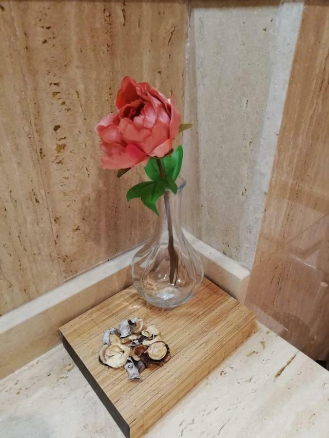 Residencial Delta Garden'S Διαμέρισμα Sant Jaume d'Enveja Εξωτερικό φωτογραφία